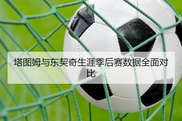 塔图姆与东契奇生涯季后赛数据全面对比